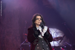 Spend the Night With Alice Cooper